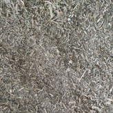 گیاه براهمی ( آب بشقابی - آب قاشقی - سنتلا آسیتکا )