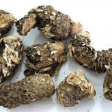 روغن کندش قانون (30 میلی لیتری) کندوش