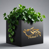 روغن زیره سبز 500cc خالص کیفیت تضمینی(رفع تیرگی دور چشم-سفید کننده پوست-کاهش دهنده ی درد-تقویت مو وناخن)