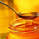 عسل گون کوهی گیاهینو - ۷۰۰ گرمی (۱۲ تایی)