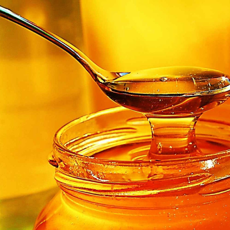 عسل گون کوهی گیاهینو - ۷۰۰ گرمی (۱۲ تایی)