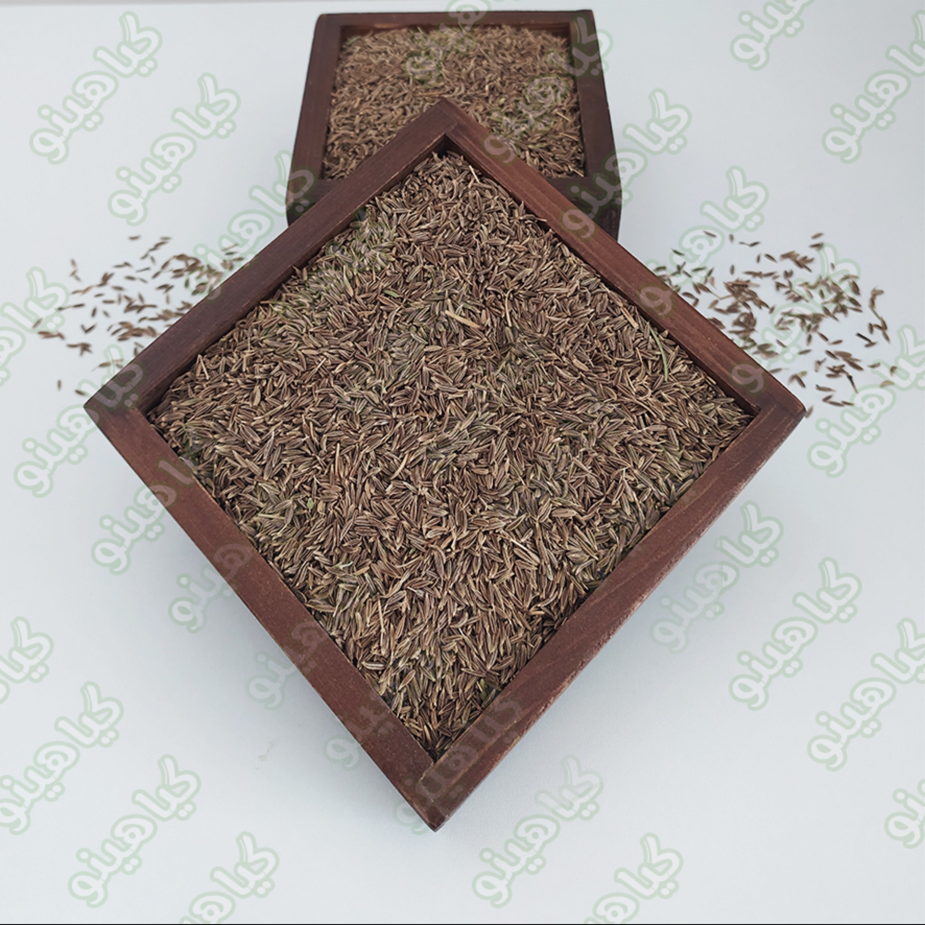 زیره سبز نیم کیلویی گیاهینو