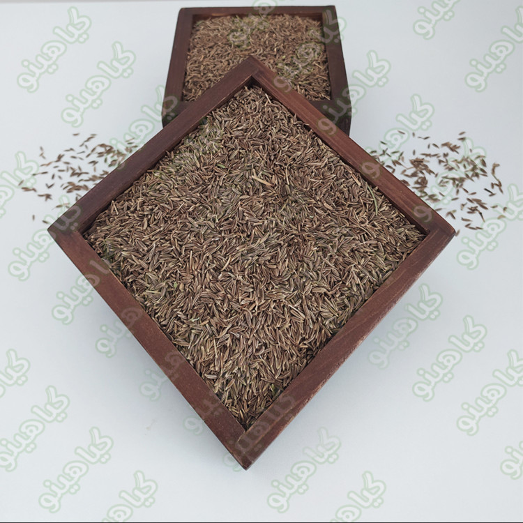 زیره سبز نیم کیلویی گیاهینو